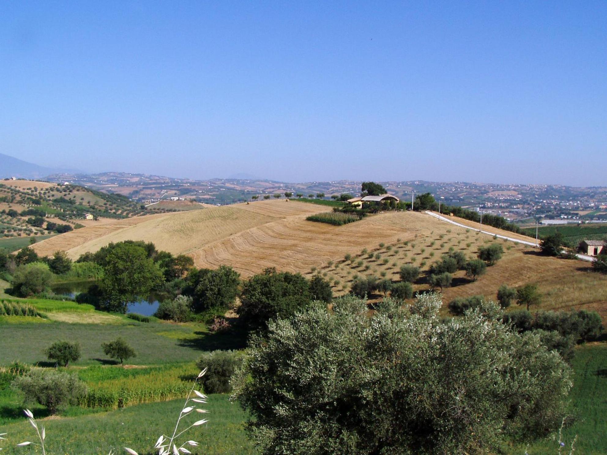 Agriturismo Tenuta Santa Maria Notaresco Exterior photo