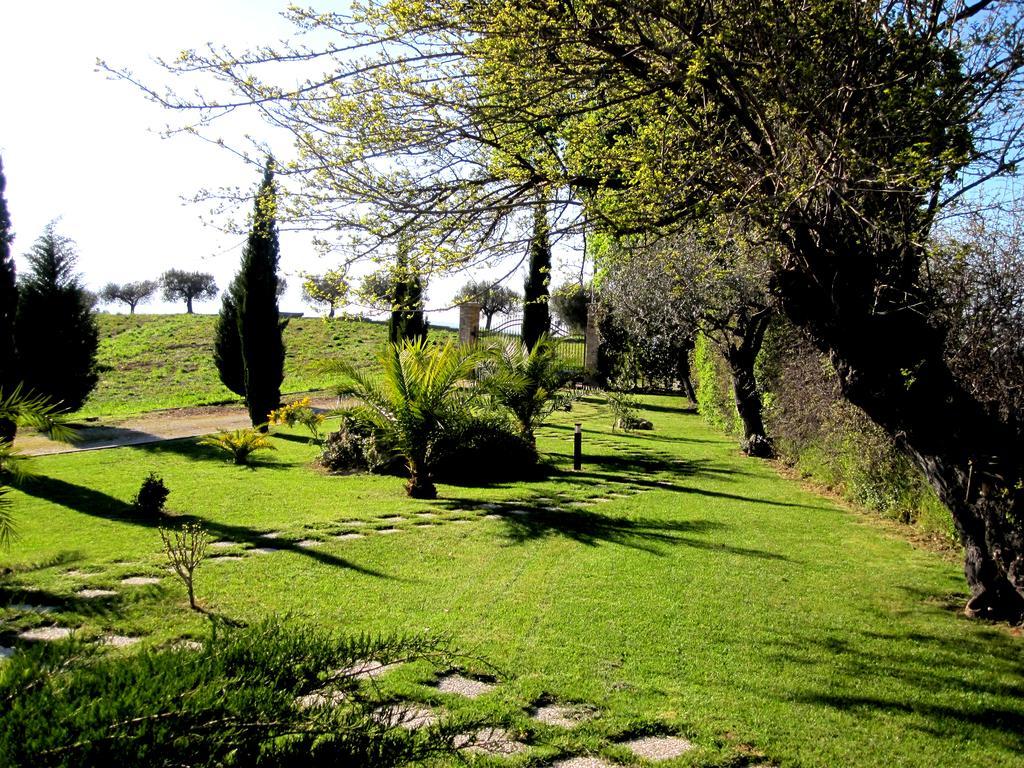 Agriturismo Tenuta Santa Maria Notaresco Exterior photo