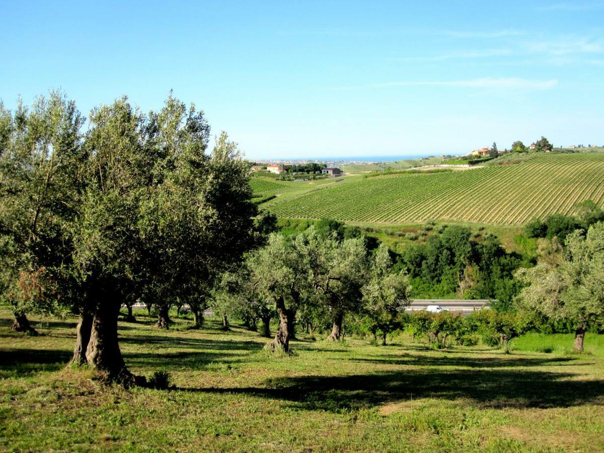 Agriturismo Tenuta Santa Maria Notaresco Exterior photo
